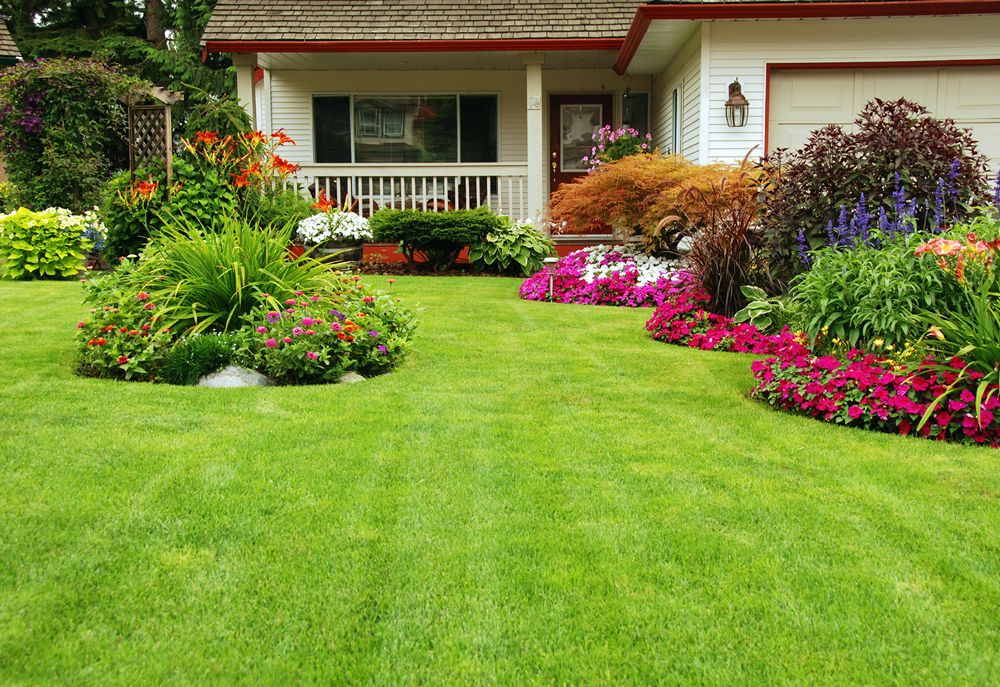 beautiful landscaping with flowers, well-maintained shrubbery, plants, grass