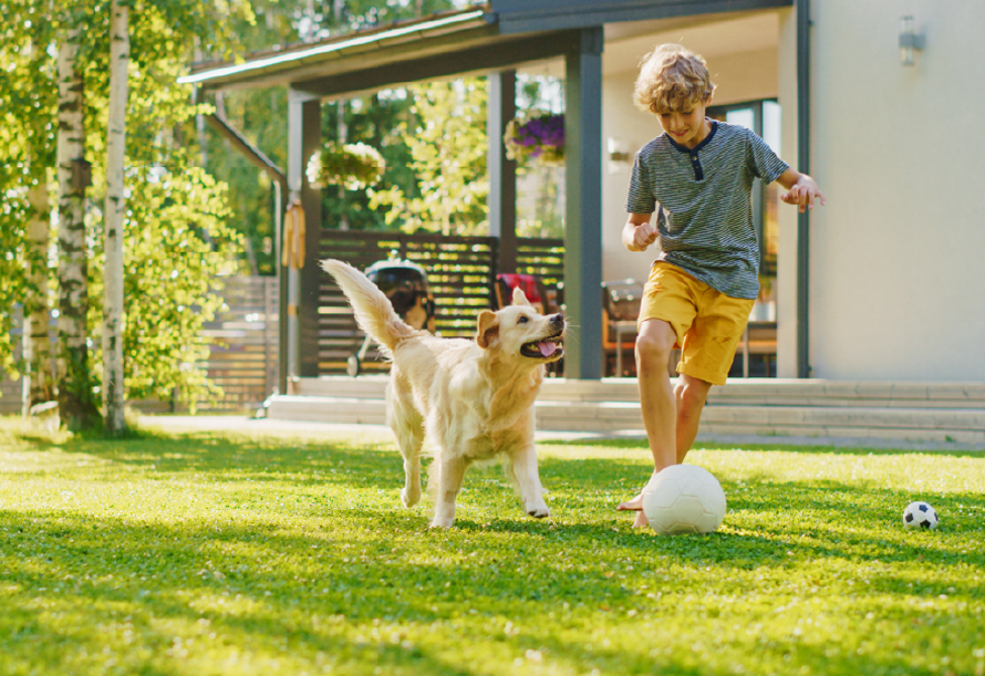 young boy is kicking a ball with his dog on a beautifully maintained, green lawn